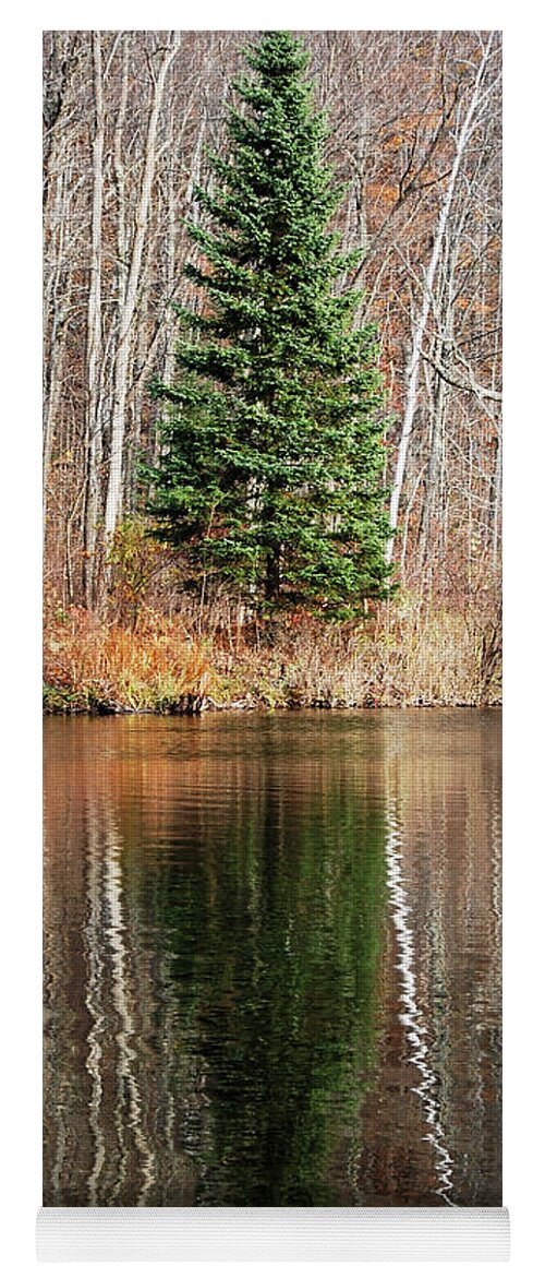 Darin Volpe Nature Yoga Mat featuring the photograph Evergreen - Buck Lake, Vermont by Darin Volpe