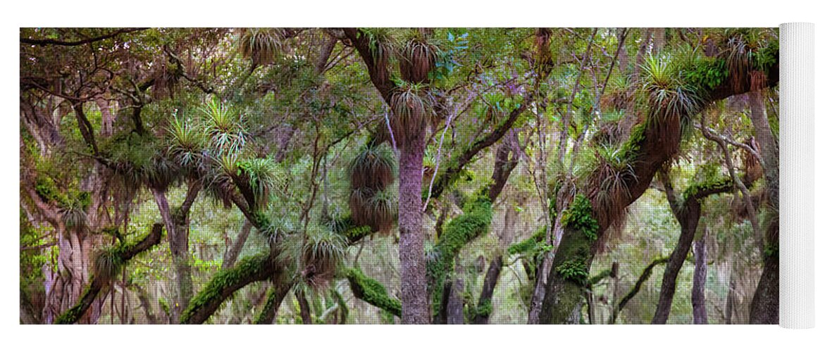 Everglades Yoga Mat featuring the photograph Evergreen by Karen Wiles