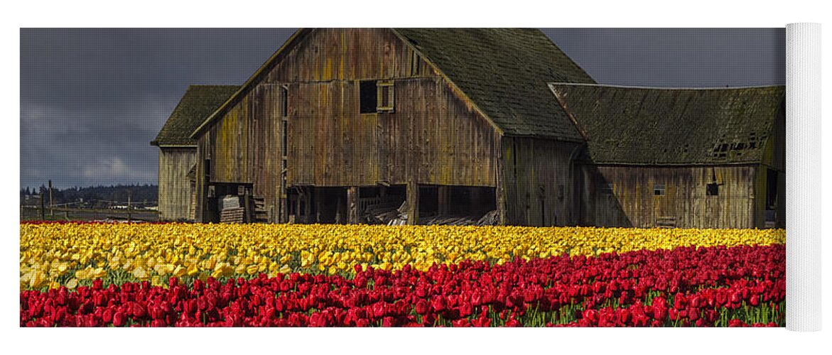 Tulips Yoga Mat featuring the photograph Everlasting Blooms by Mark Kiver