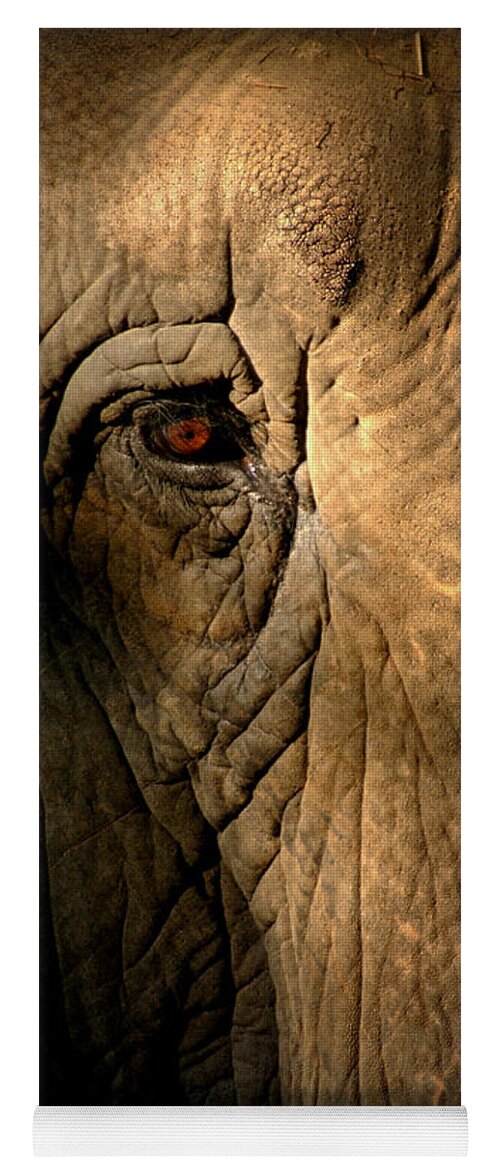 Elephant Yoga Mat featuring the photograph Eye of the Elephant by Greg and Chrystal Mimbs
