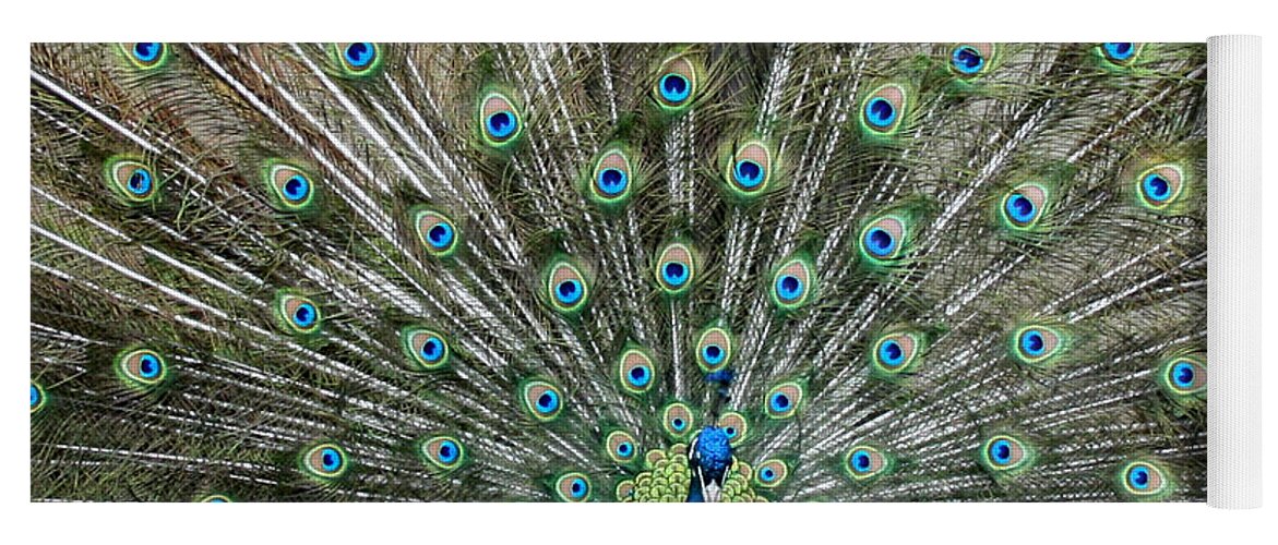 Peacock Yoga Mat featuring the photograph Eyes See You by George Jones