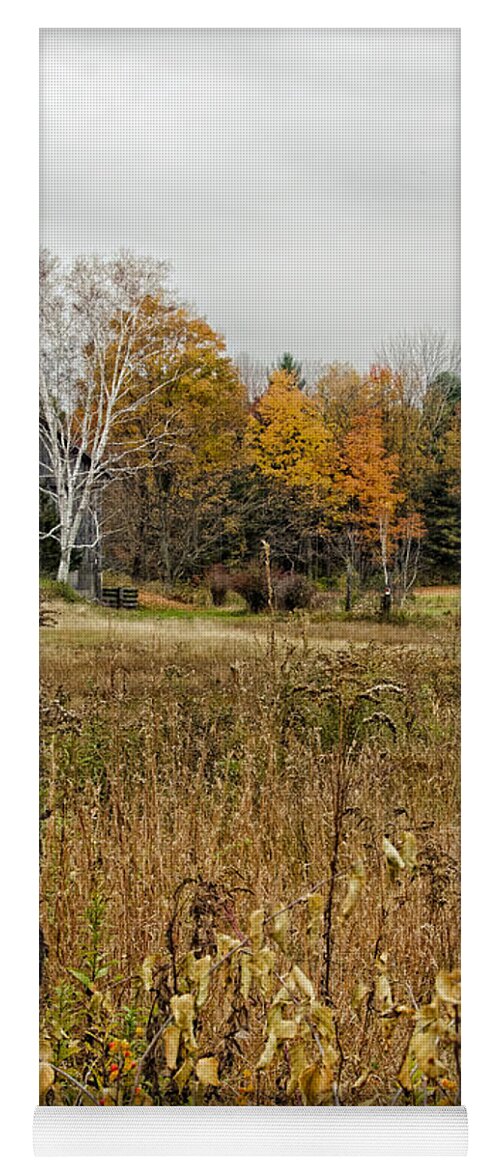 Autumn Yoga Mat featuring the photograph Fall Barn Scene by Donna Doherty