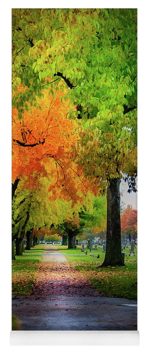 Fall Yoga Mat featuring the photograph Fall Color by Allin Sorenson