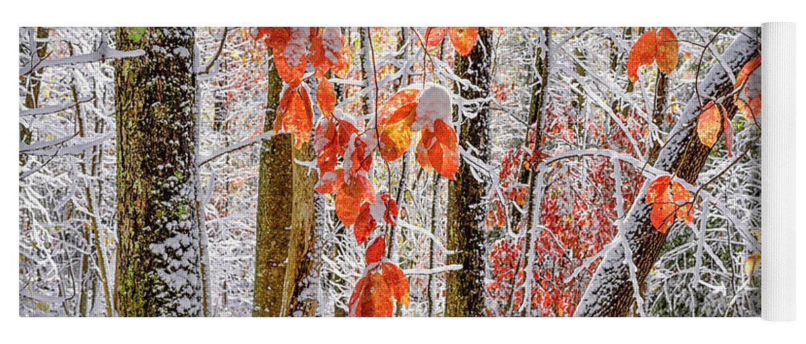Autumn Yoga Mat featuring the photograph Fall Color Autumn Snow by Thomas R Fletcher