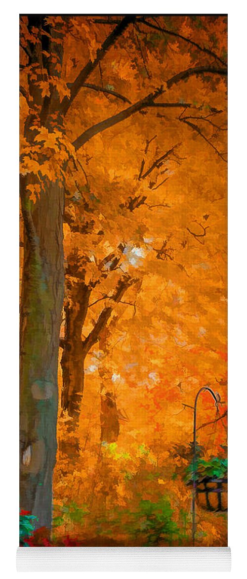 Leaves In Fall Yoga Mat featuring the photograph Fall Explosion by LeeAnn McLaneGoetz McLaneGoetzStudioLLCcom