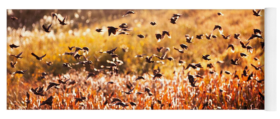 Fall Yoga Mat featuring the photograph Fall Flock by Todd Klassy