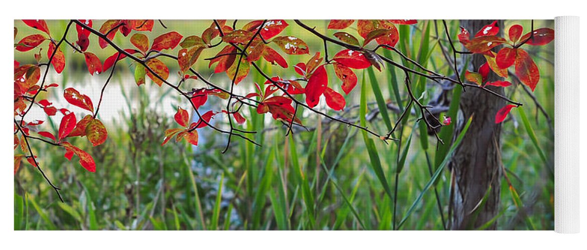 Terry D Photography Yoga Mat featuring the photograph Fall Is Upon Us by Terry DeLuco