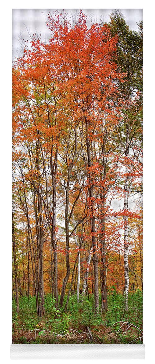 Fall Landscape Portrait Yoga Mat featuring the photograph Fall Landscape Portrait by Gwen Gibson