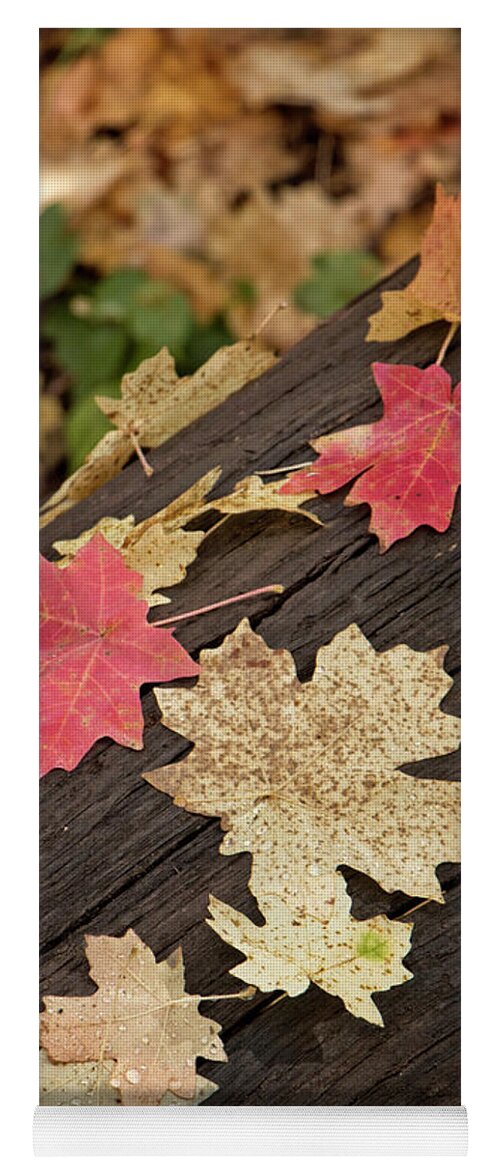 Arizona Yoga Mat featuring the photograph Fall Leaves on a Fallen LOg by Teresa Wilson