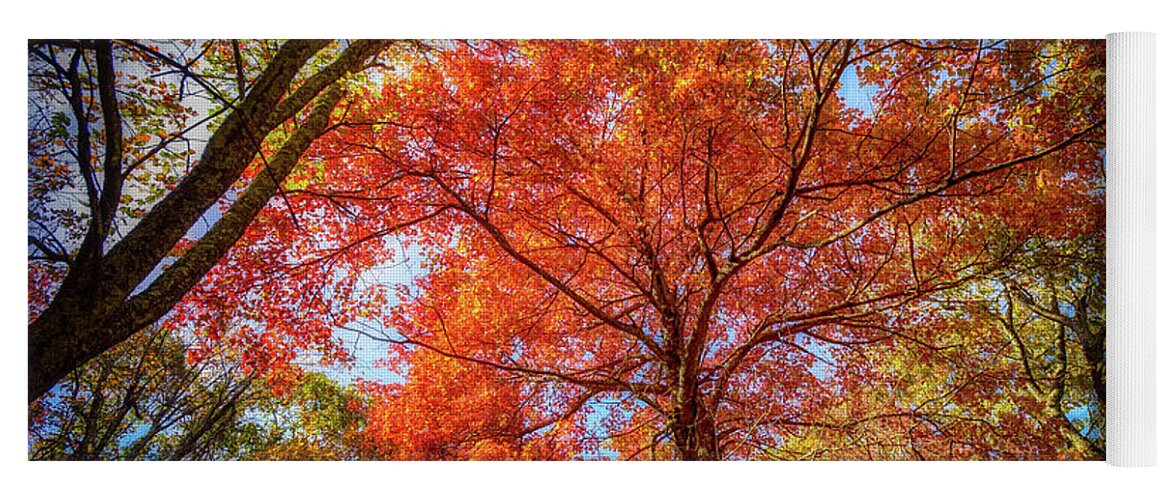 Landscape Yoga Mat featuring the photograph Fall Red by Joe Shrader
