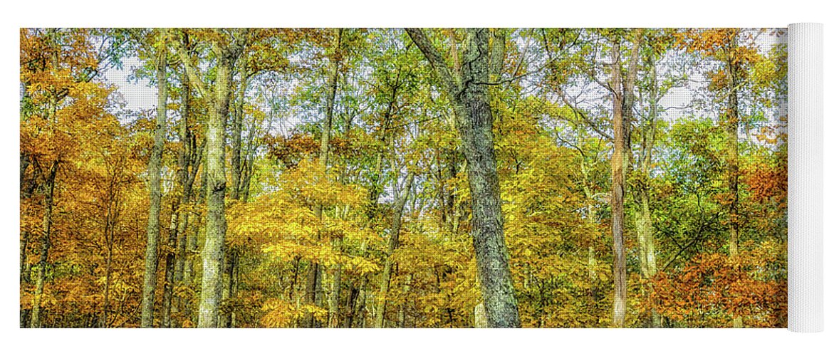 Landscape Yoga Mat featuring the photograph Fall Yellow by Joe Shrader