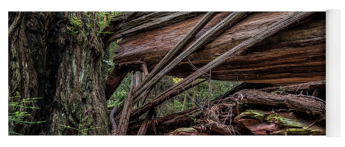 California Yoga Mat featuring the photograph Fallen Redwood 2 by Al Andersen