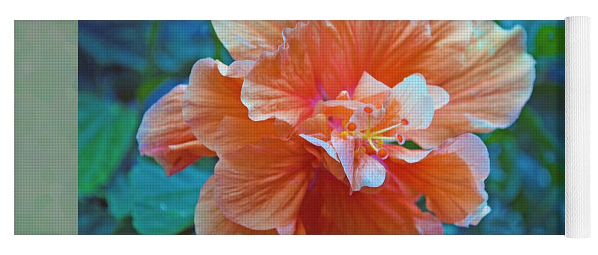 Hibiscus Yoga Mat featuring the photograph Fancy Peach Hibiscus by Sandi OReilly