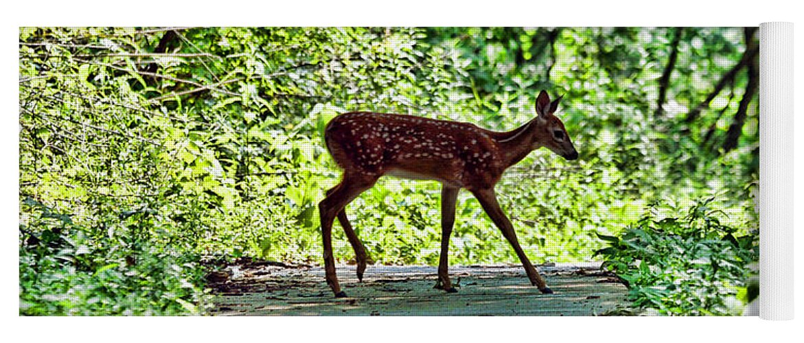 Deer Yoga Mat featuring the photograph Fauntastic by Anthony Baatz