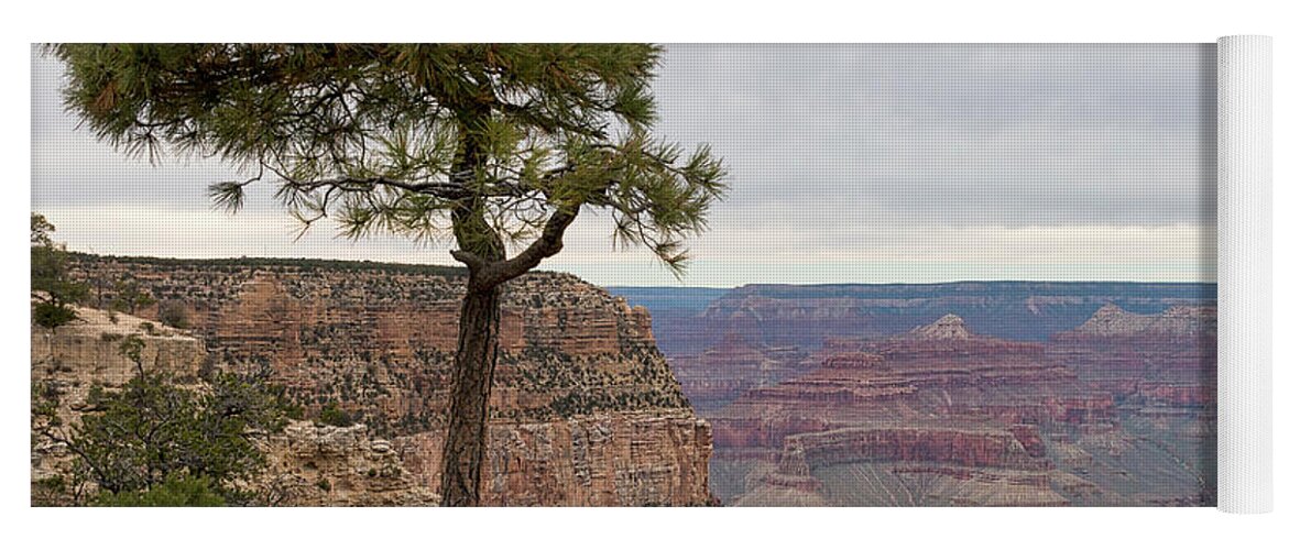 Grand Canyon Yoga Mat featuring the photograph Fearless Tree by Ana V Ramirez