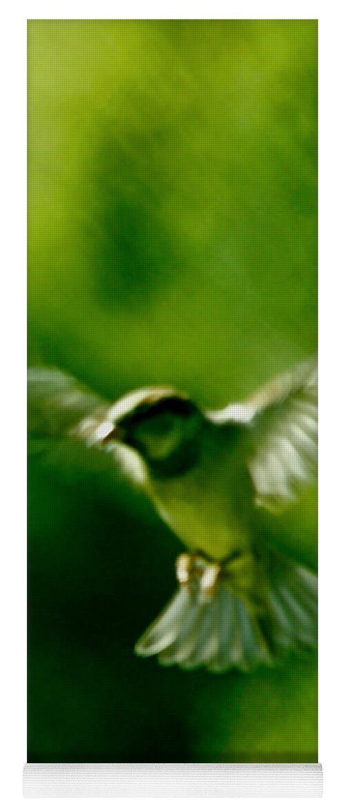 Animal Yoga Mat featuring the photograph Feeling Free As A Bird Wall Art Print by Carol F Austin