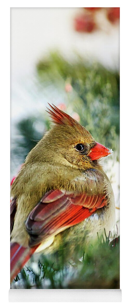 Cardinal Yoga Mat featuring the photograph Female Northern Cardinal by Christina Rollo