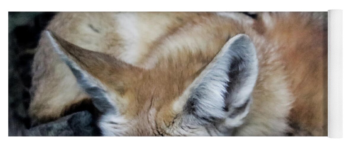 Fennec Foxes Yoga Mat featuring the photograph Fennec Foxes by Suzanne Luft