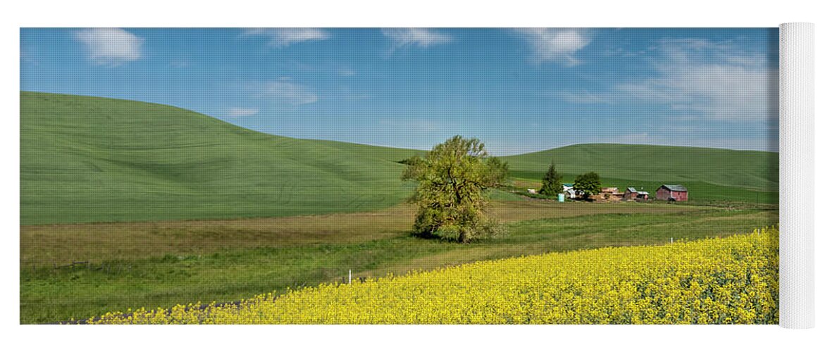 Agriculture Yoga Mat featuring the photograph Field of dreams. by Usha Peddamatham