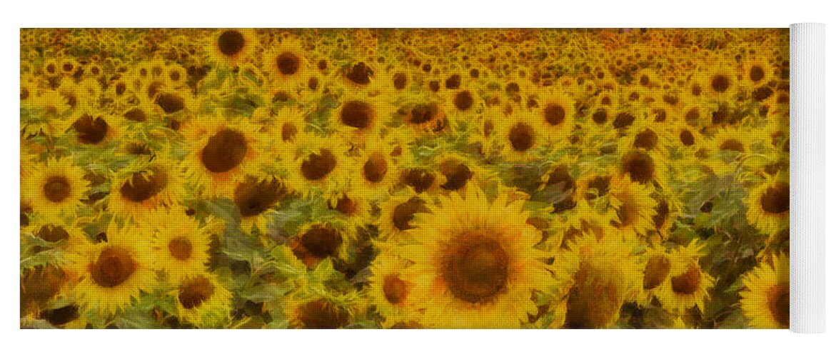 Sunflower Yoga Mat featuring the photograph Field of Sunflowers by Mark Kiver