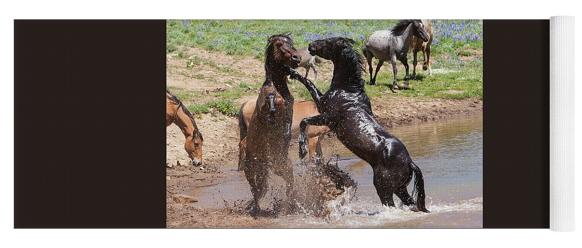 Wild Stallions Yoga Mat featuring the photograph Fight at the Water Hole Wild Stallions by Mark Miller