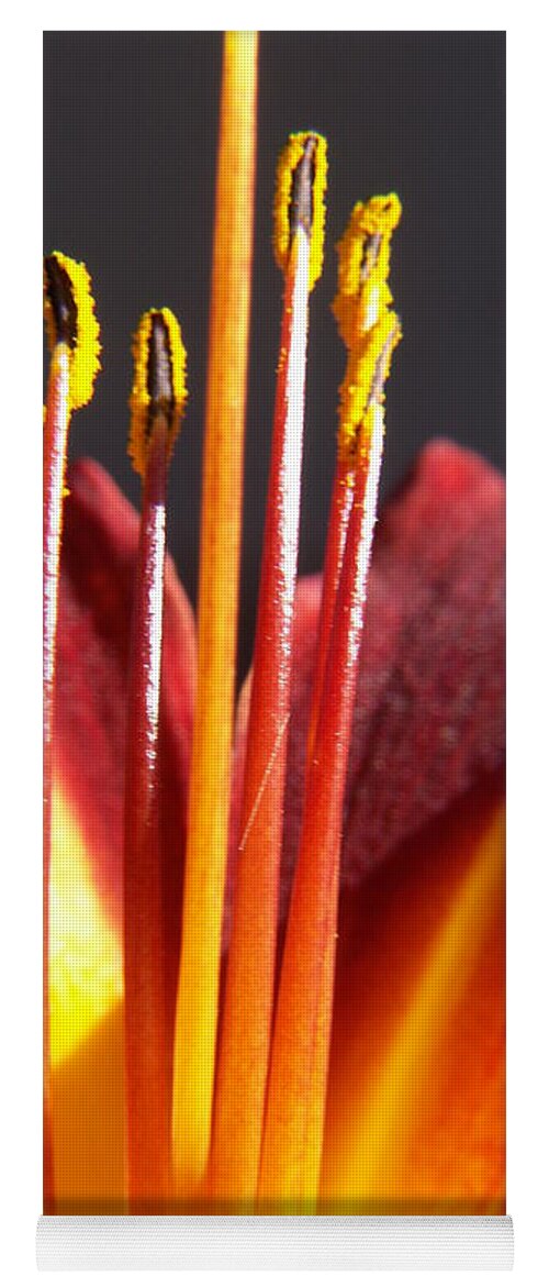 Fire Lily Yoga Mat featuring the photograph Fire Lily 1 by Amy Fose