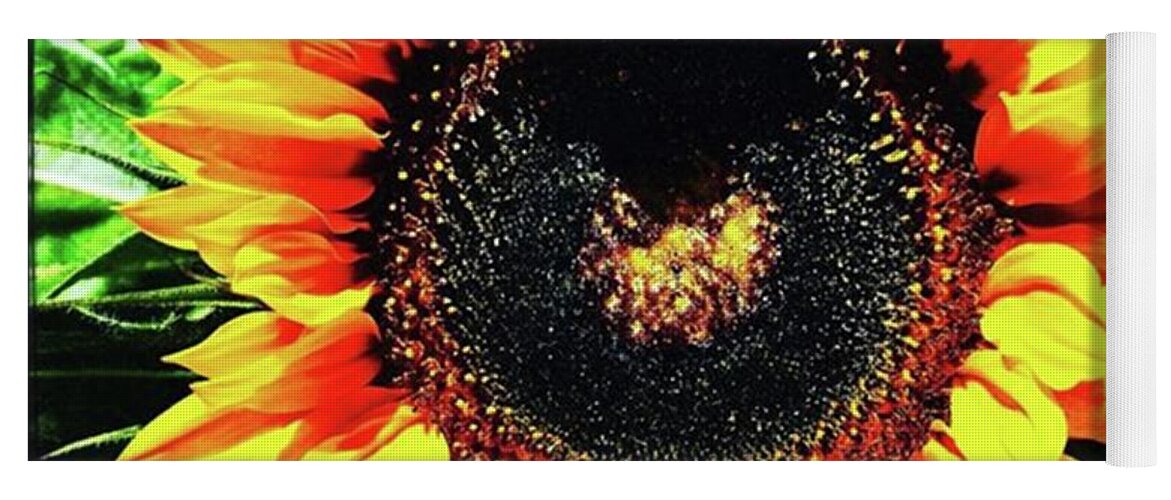 Summer Yoga Mat featuring the photograph First Sunflower Of The Summer by Ginger Oppenheimer