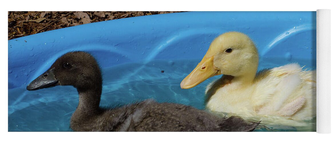 Duck Yoga Mat featuring the photograph First Swimming Lesson by Donna Brown