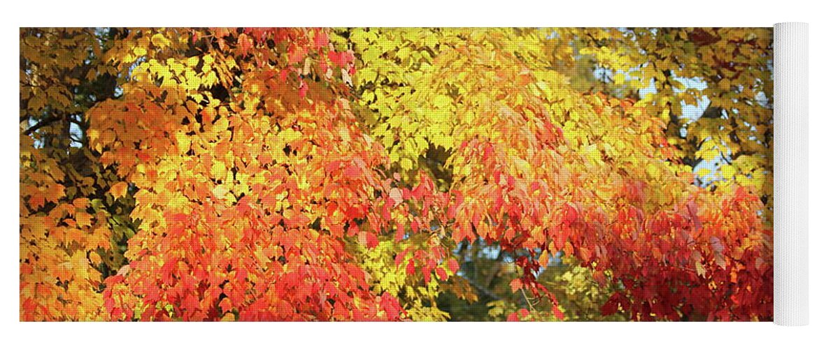Reid Callaway Autumn Leaves Yoga Mat featuring the photograph Flaming Autumn Leaves Art by Reid Callaway