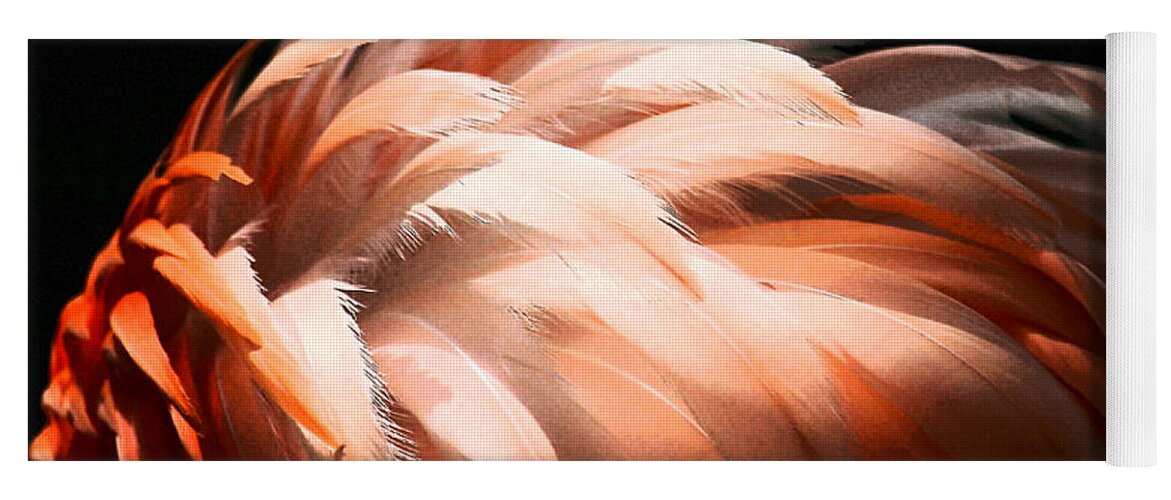 Feathers Yoga Mat featuring the photograph Flamingo Feathers by Sabrina L Ryan