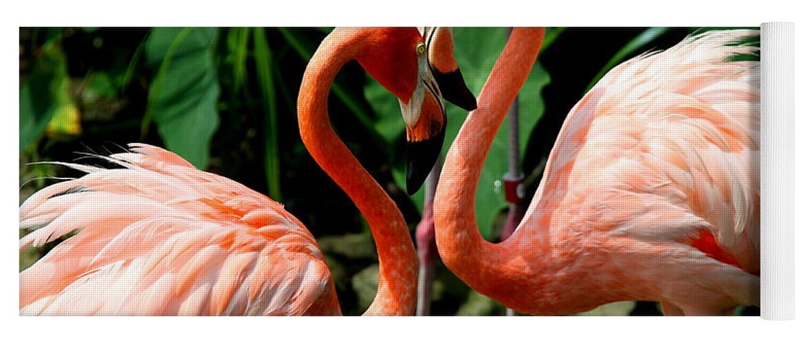 Pink Flamingo Yoga Mat featuring the photograph Flamingo Heart by Barbara Bowen