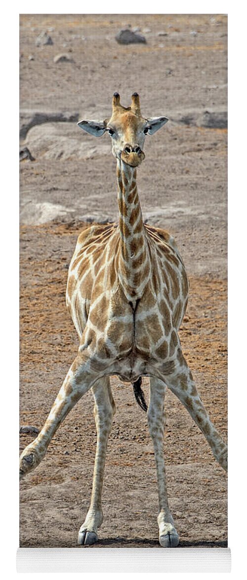 Giraffa Camelopardalis Angolensis Yoga Mat featuring the photograph Flexible by Tony Beck