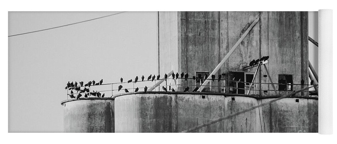 Many Yoga Mat featuring the photograph Flock of blackbirds by Andrea Anderegg