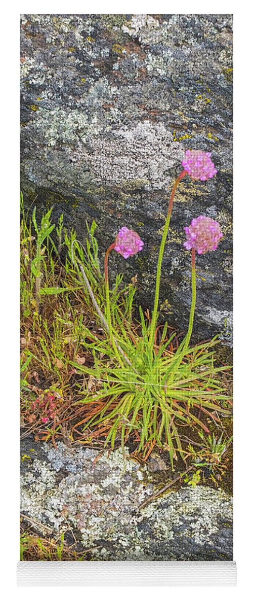 Oregon Coast Yoga Mat featuring the photograph Flower And Rock by Tom Singleton