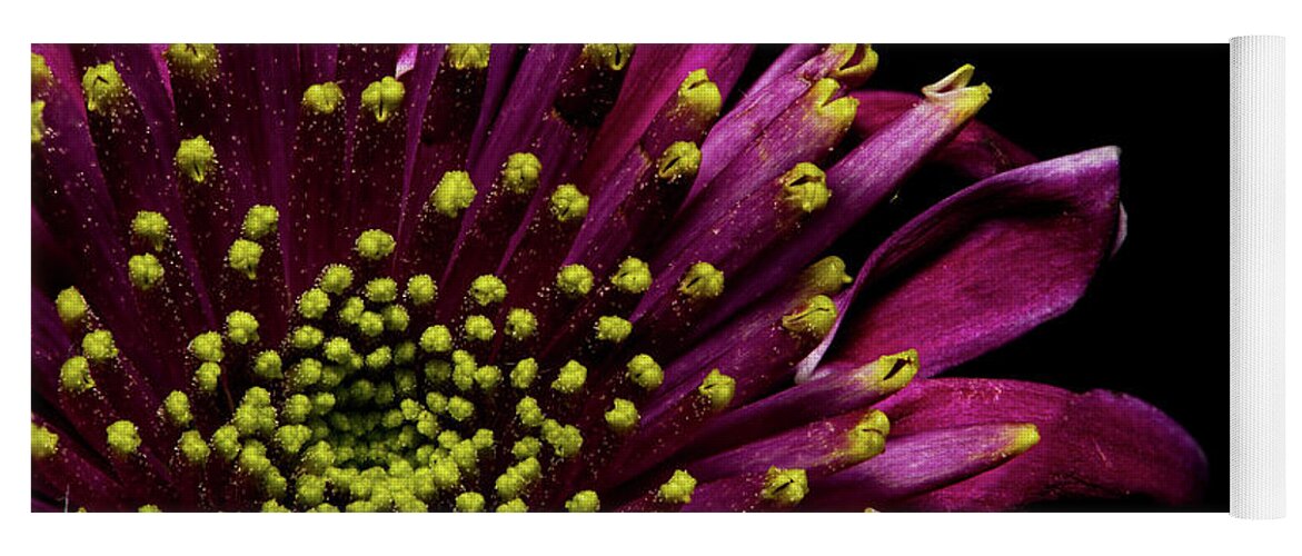 Purple Yoga Mat featuring the photograph Flower for You by Tammy Ray