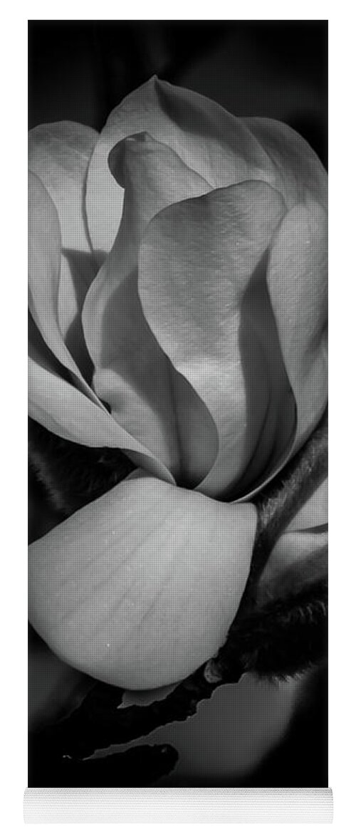 Flower Yoga Mat featuring the photograph Flower Noir by Allin Sorenson