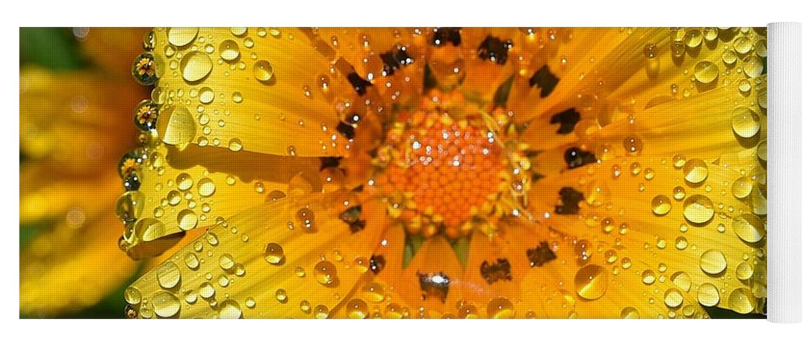 Linda Brody Yoga Mat featuring the photograph Flower Reflection in Water Drops by Linda Brody