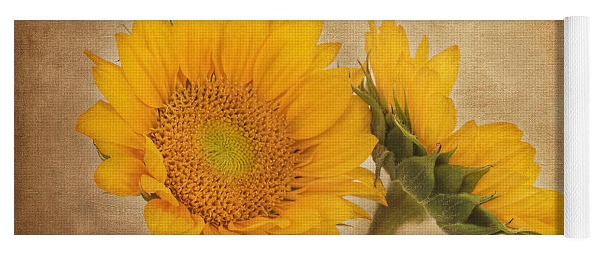 Sunflower Yoga Mat featuring the photograph Flowers of the Sun by Kim Hojnacki