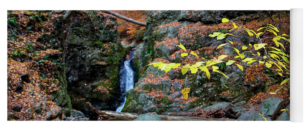 Autumn Yoga Mat featuring the photograph Flowing Into Autumn by Karol Livote