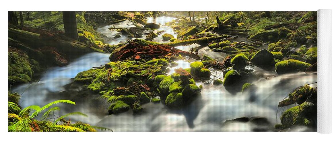Sol Duc Yoga Mat featuring the photograph Flowing To The Light by Adam Jewell