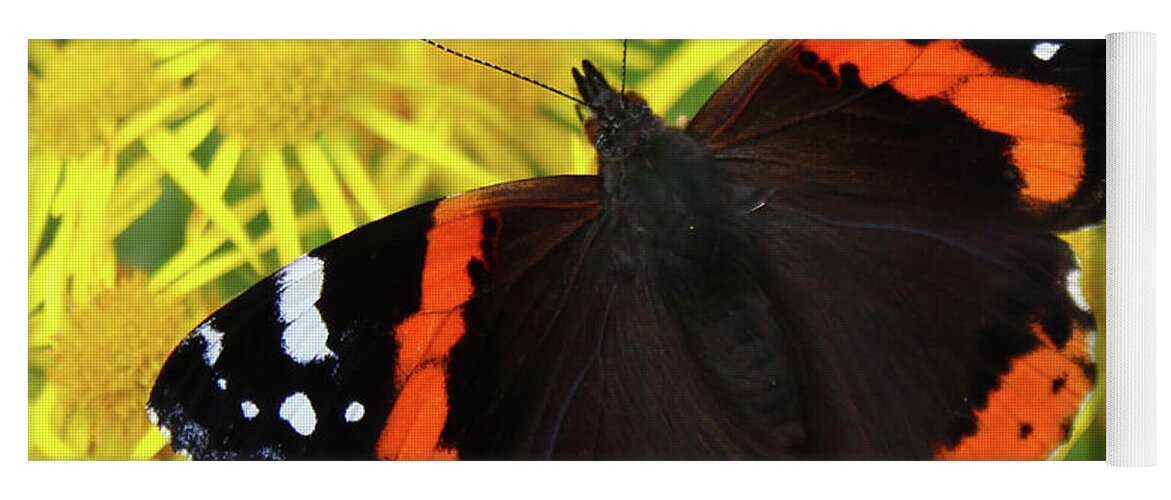 Donegal On Your Wall Yoga Mat featuring the photograph Red Admiral Flutter Donegal by Eddie Barron