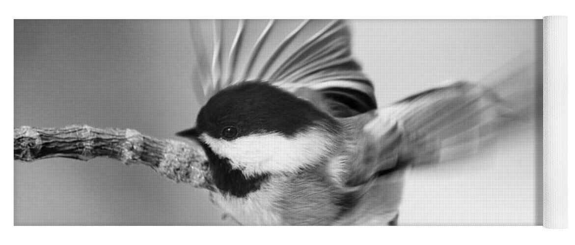 Bird Yoga Mat featuring the photograph Flutter Of A Chickadee's Wing by Dorothy Lee