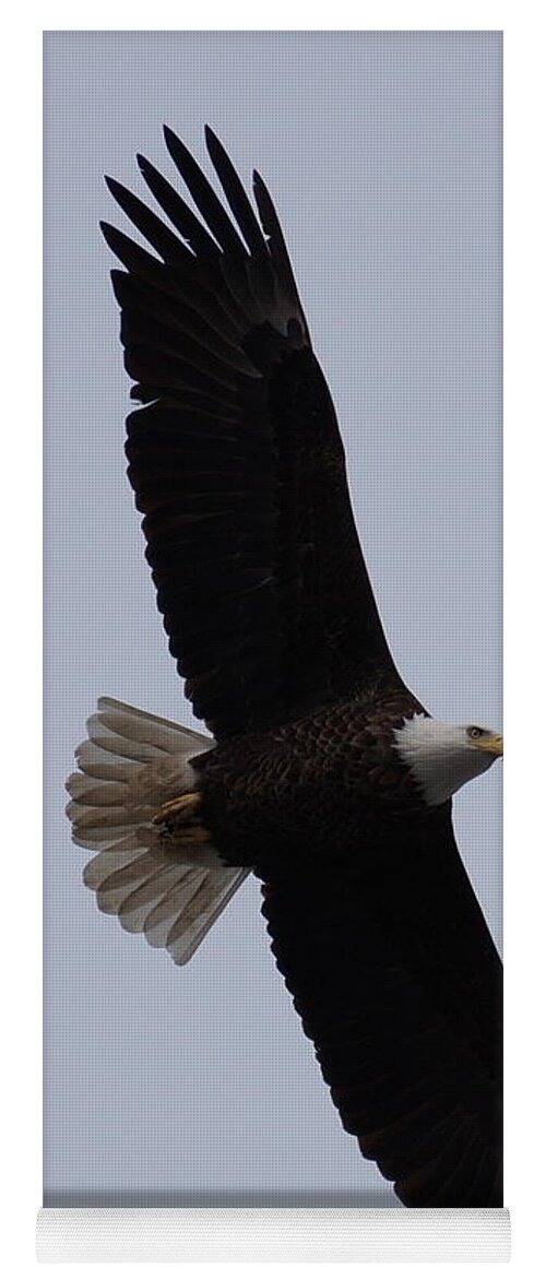 Adult Eagle Yoga Mat featuring the photograph Flying High by Beth Collins
