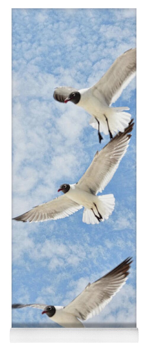 Sea Gulls Yoga Mat featuring the photograph Flying High by Jan Amiss Photography