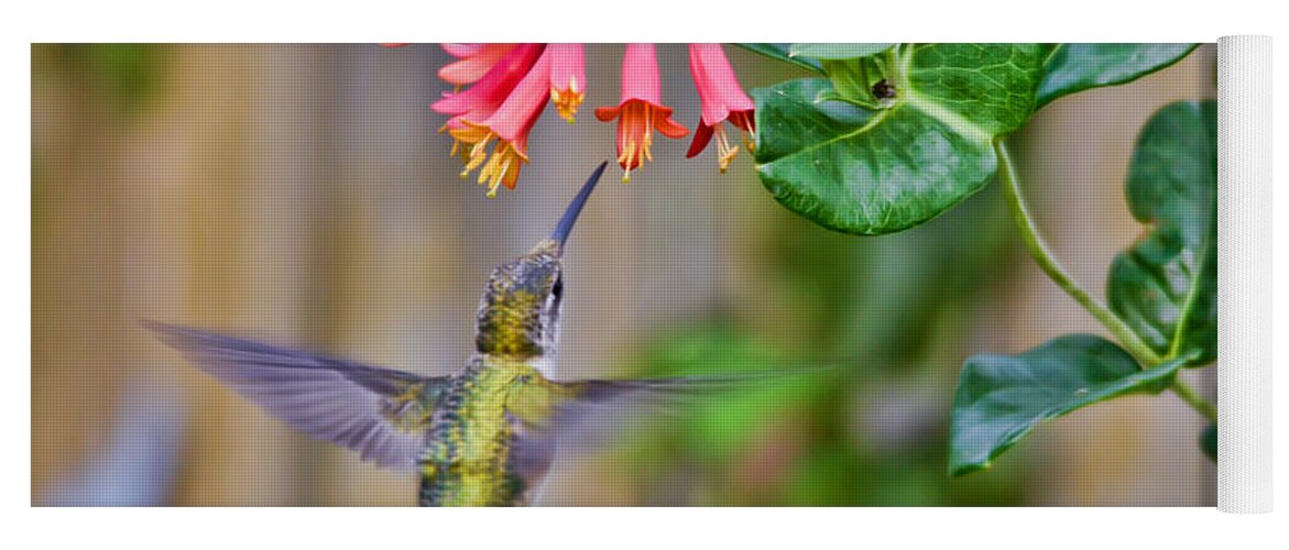Hummingbird Yoga Mat featuring the photograph Flying Jewel by Kerri Farley
