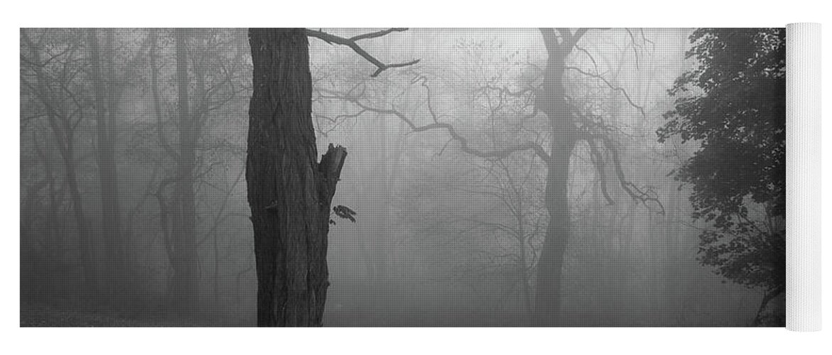 Foggy Yoga Mat featuring the photograph Foggy Morning 1 by Michael Hills
