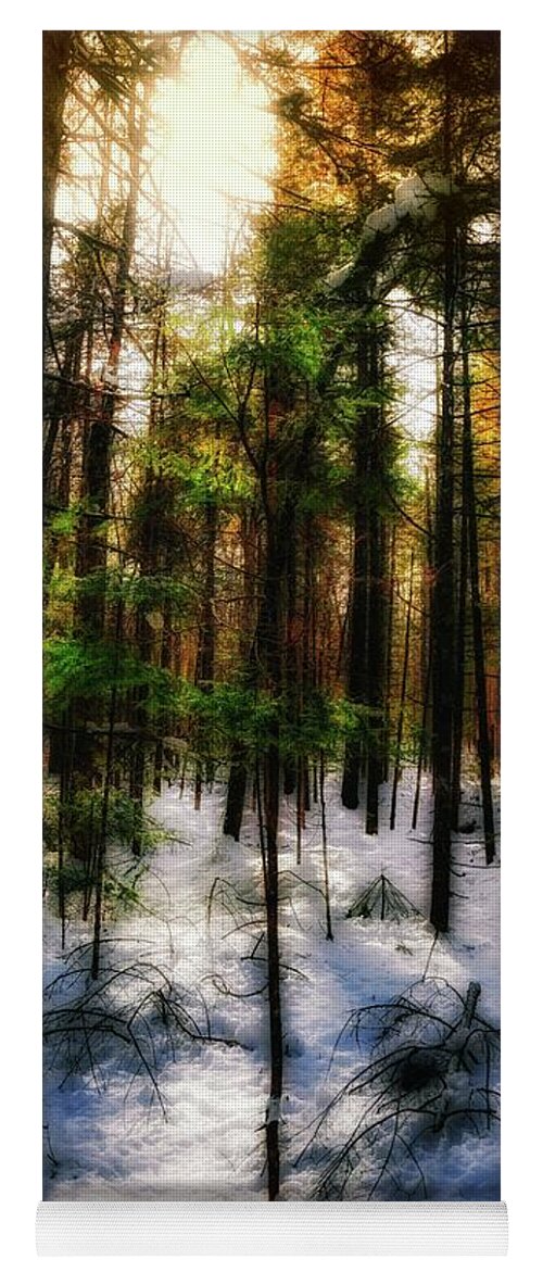 Forest Yoga Mat featuring the photograph Forest Dawn by John Meader