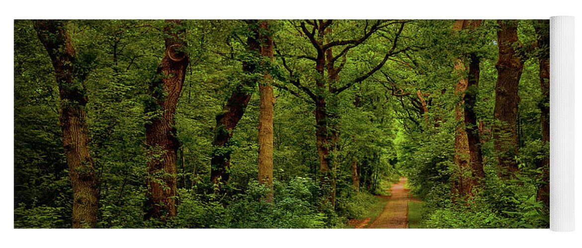 Doorwerth Yoga Mat featuring the photograph Forest lane in Doorwerth by Tim Abeln