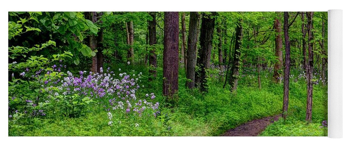 Forrest Yoga Mat featuring the photograph Forest Path by Ann Bridges
