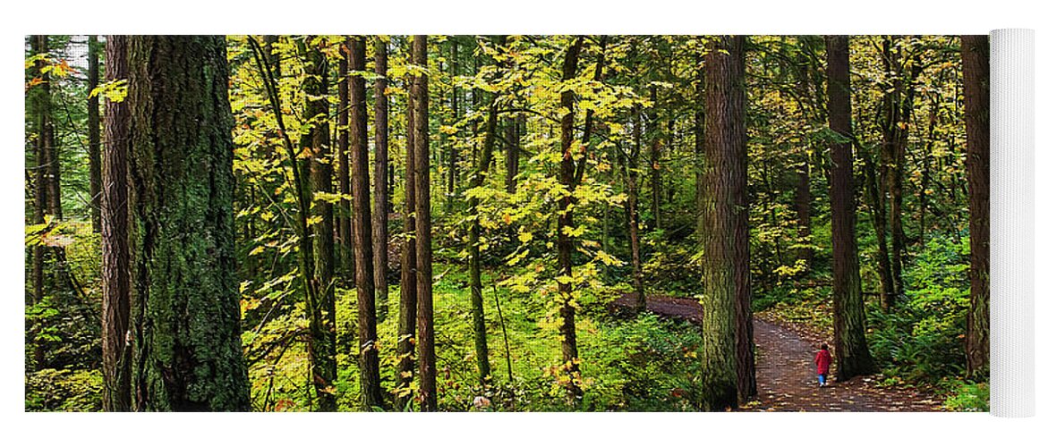 Trees Yoga Mat featuring the photograph Forest Pathway by John Christopher